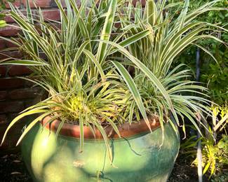 These weigh 200 pounds....please be prepared..we have No one here to lift heavy items