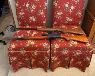 Winchester .22 Rifle and a Springfield 15 .22 Rifle