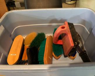 Horse brushes