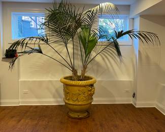 Mike Bell 19th Century Yellow Jardiniere with Putti Face. Measures 28" D x 30" H. Photo 1 of 5.