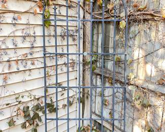 Smith & Hawken Metal Garden Trellis. Photo 1 of 2.