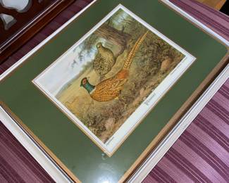 Set of Place Mats with Bird Species Design