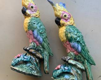 Mint condition Stangle Cockatoos 