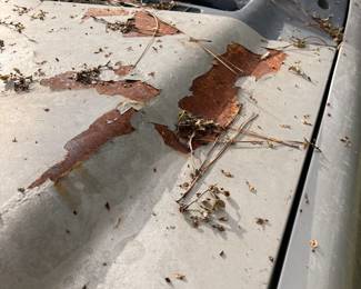 F250 hood needs to be repainted