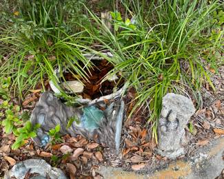 Bird Bath lying down
