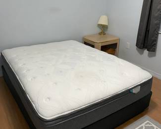 Double Mattress & Box spring