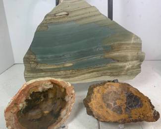 Three Piece Petrified Wood Lot
