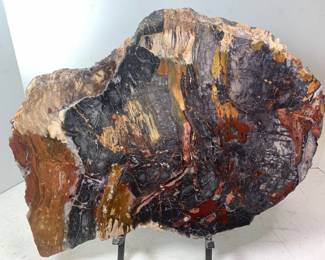Polished Petrified Wood Slab