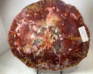 Araucarioxylon Arizonicum - Chinle Formation