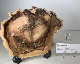 Petrified Wood Cherry - Trout Creek Formation