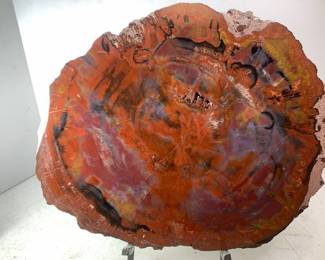 Unidentified Petrified Wood Slab