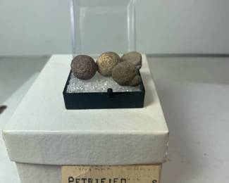 Petrified Juniper Berries - Fruita, Utah