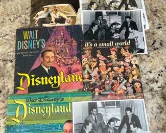 FTH530- Disney Memorabilia 
