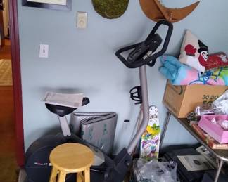 Pro form exercise bike