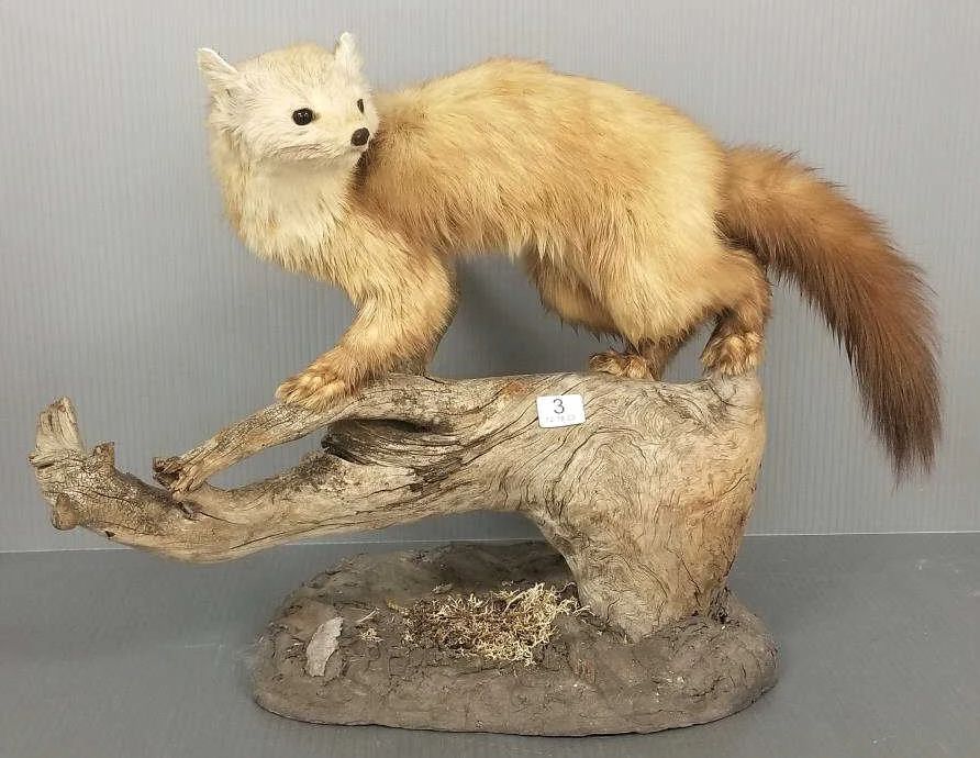 Estates & Vintage Goods Online Auction starts on 12/14/2023