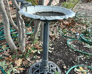 Bird Bath