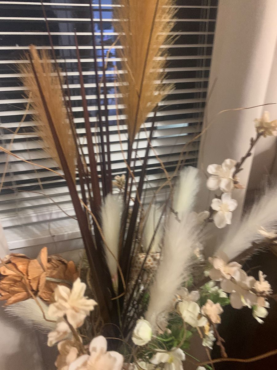 SCRANTON ESTATE SALE in Scranton, PA starts on 12/16/2023