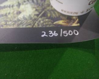 The doors rare limited poster