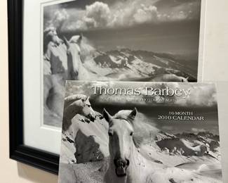Custom Framed Art Print "Icy Studs" by Thomas Barbey