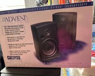 Indoor outdoor speakers