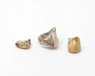 #110 • (3) Gold Tooth Crowns, 3g