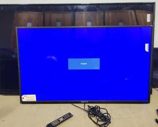 #1522 • Sceptre Flatscreen TV