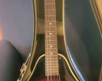 Aria  Mandolin with case
