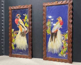 Bird feather Mexican framed art (2) 15 x 8 in
