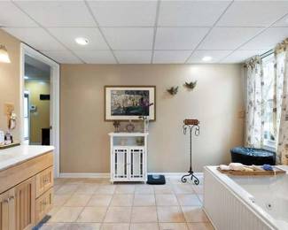 Bathroom cabinets and decorations