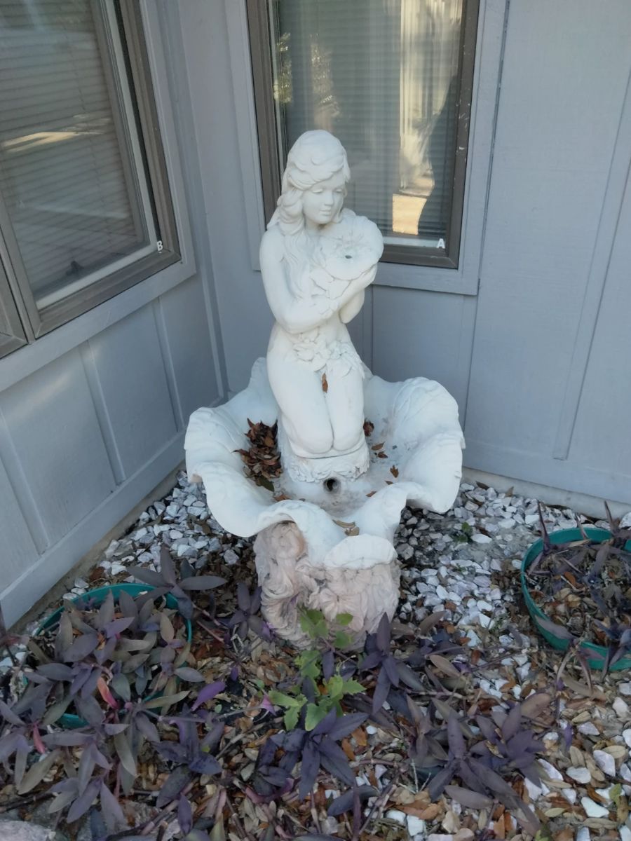 ESTATE SALE IN DELAND in Deland, FL starts on 12/22/2023