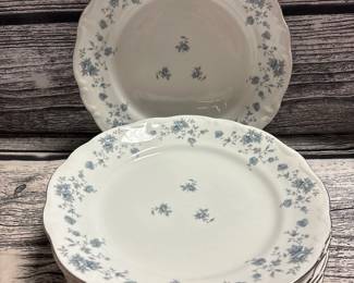 Johann haviland plates