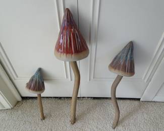 Mushrooms, a big hit with everyone