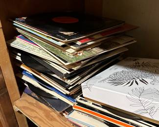 Preliminary walkthrough photo: 

Closet filled with holiday, boxed China and record albums. Can’t wait to dig into this! 