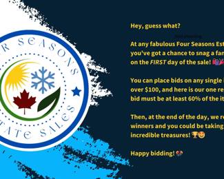 Policy on bidding on items.  First day of the sale only!