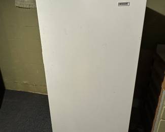 Preliminary walkthrough photo: 

Full size standing freezer! 