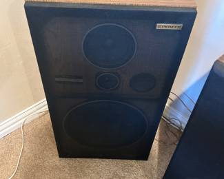Pioneer vintage speaker set
