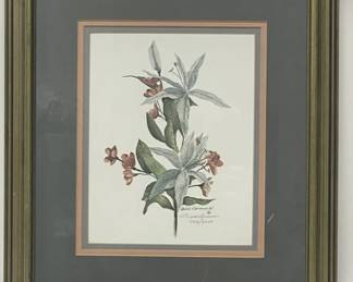 1984 Bill Brown Pencil Signed Numbered Lily Print