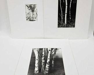 J. Robert Hill Gelatin Silver Prints - 3 Unframed
