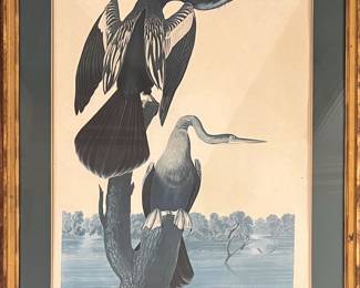 Vintage Audubon Print “Black-bellied Darter”