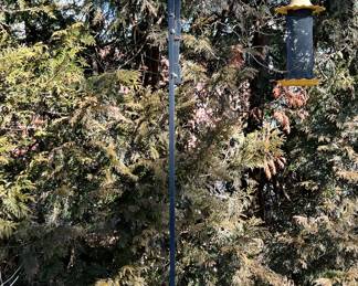 Wrought Iron Shepherds Hooks