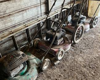 Several push mowers