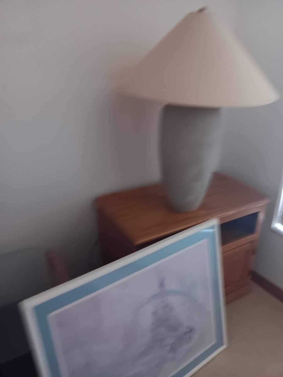 Estate sale in ster, FL starts on 12/21/2023