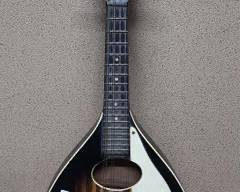 Vintage Stella Flatback Mandolin