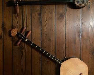 Primitive String Instruments