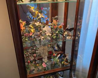 Large Bird Collection