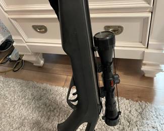 Gamo Pellet / bb gun 