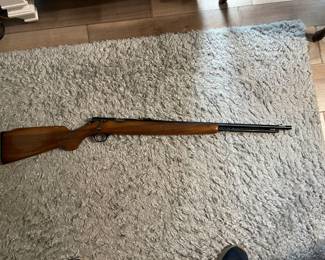 Mossberg Hawthorne Warrior 22 single shot bolt action. 