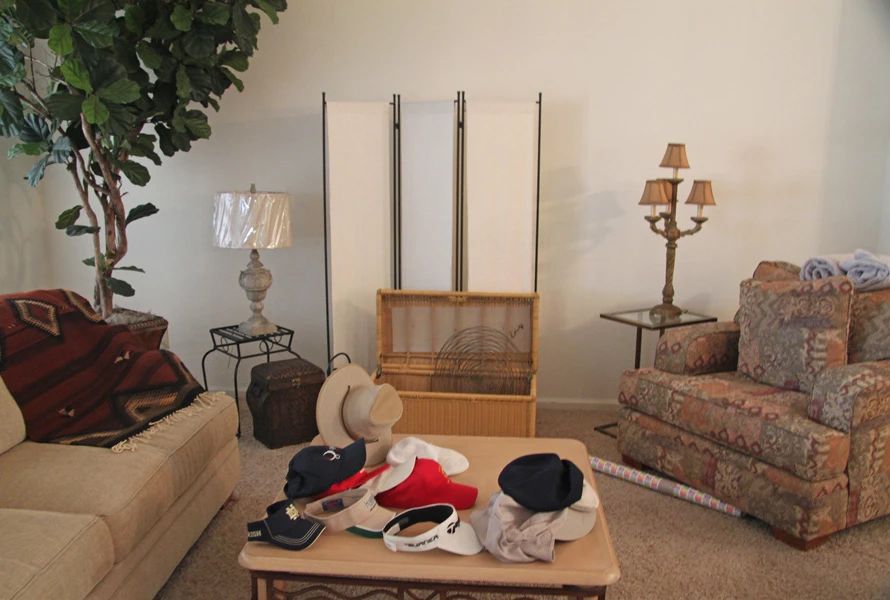 living room Furniture