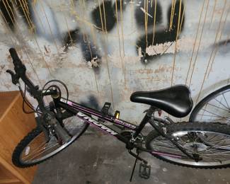 Magna silver canyon bike