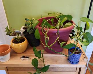 Live plants and cart